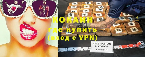 шишки Алексеевка