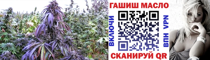 купить закладку Тверь ТГК вейп с тгк