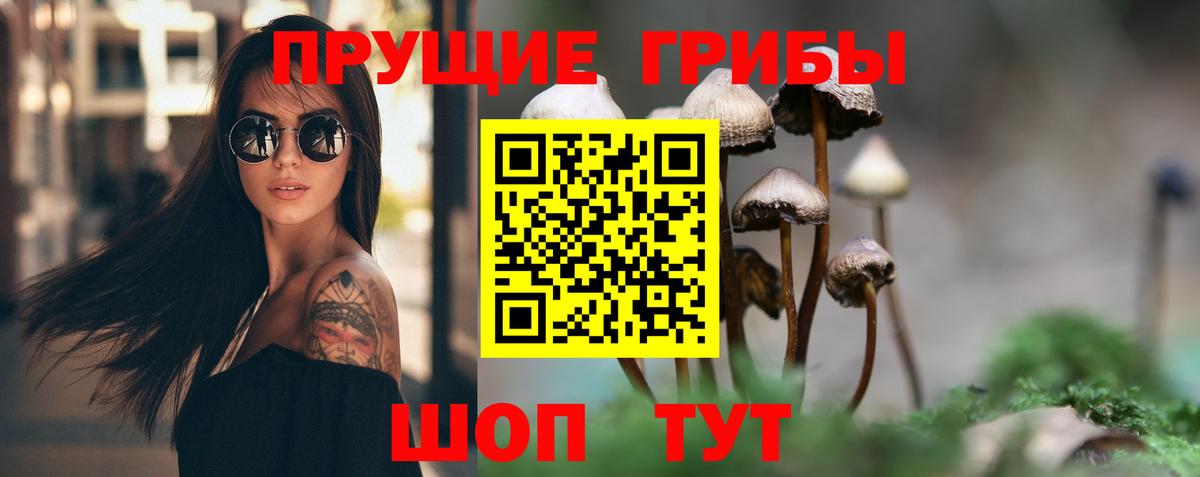 Тверь  Псилоцибиновые грибы Psilocybine cubensis  Вход с VPN  Псилоцибиновые грибы мухоморы 